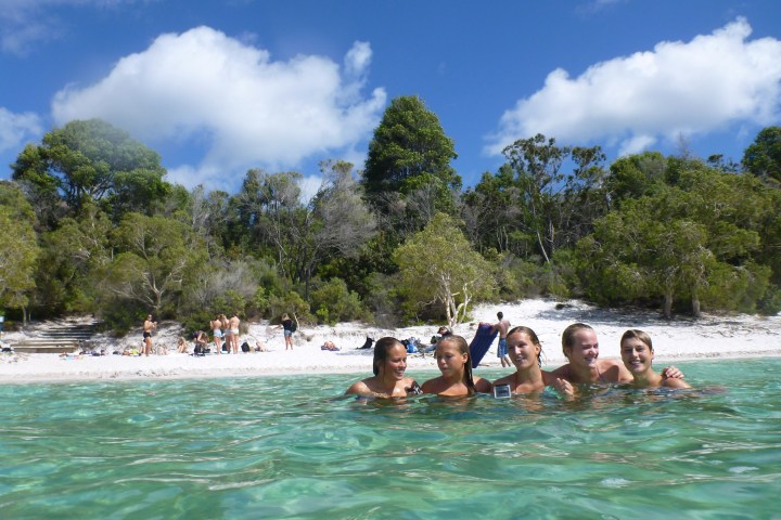 a group of people swimming in a body of water