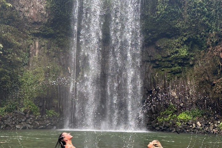 a group of people swimming in the water